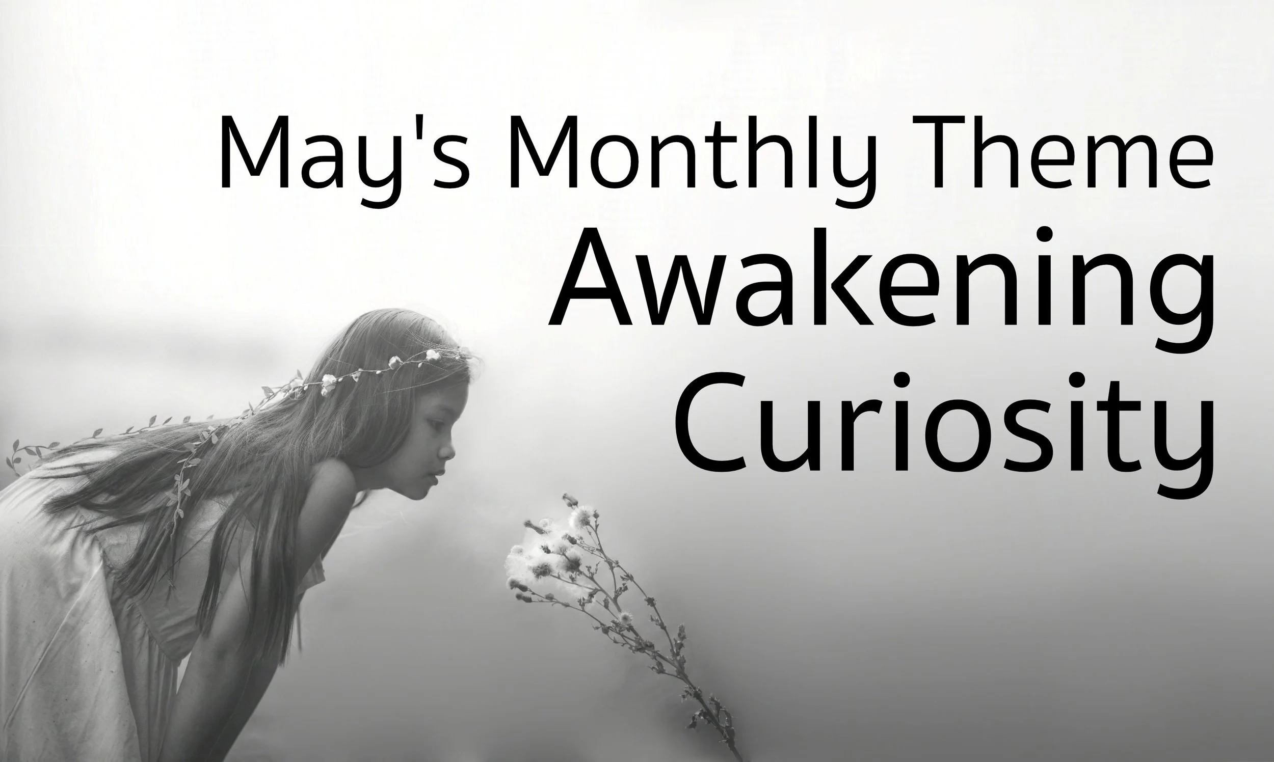 Black and white image - a young girl in a flower crown and white dress bends down to look at a stem of tall, white, lacy flowers. Black text reads "May's Monthly Theme: Awakening Curiosity"