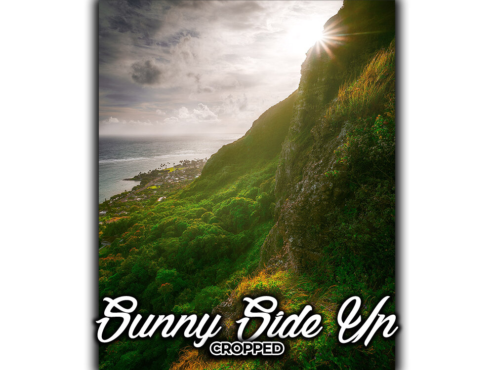 website_thumbnails_sunny side up_4x5.jpg