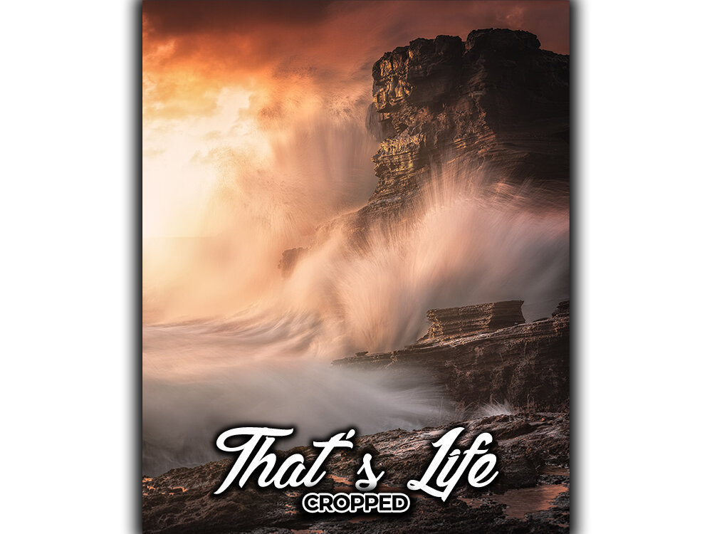 website_thumbnails_thats life_4x5.jpg