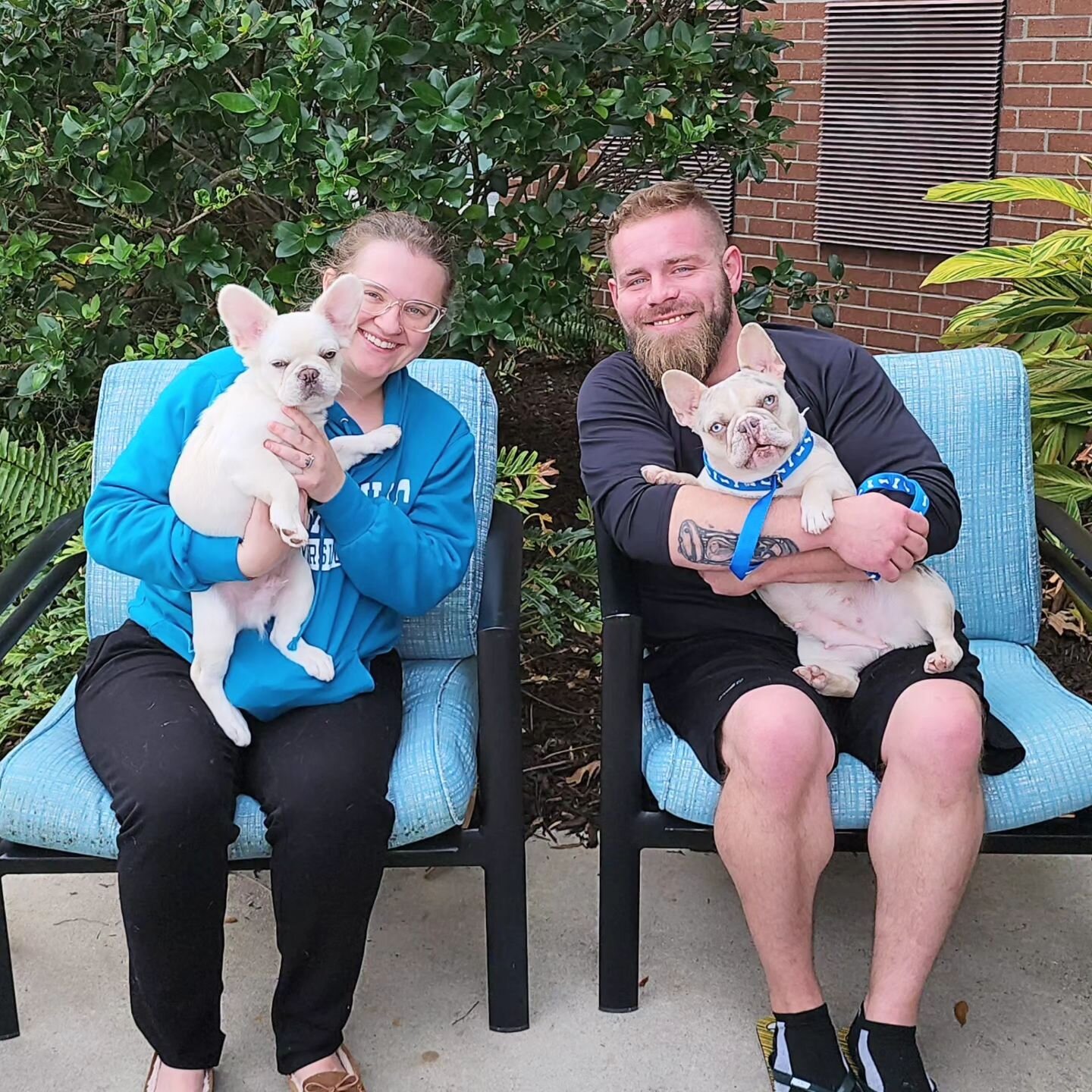 Congratulations to The Helinske Family and  A special Thank you for taking the long drive down from Wisconsin to Florida on Thanksgiving Day to pick him up. We hope he brings your family lots of Joy! ❤️🐾
.
.
.
#cute #frenchbulldog #puppy #puppylove 