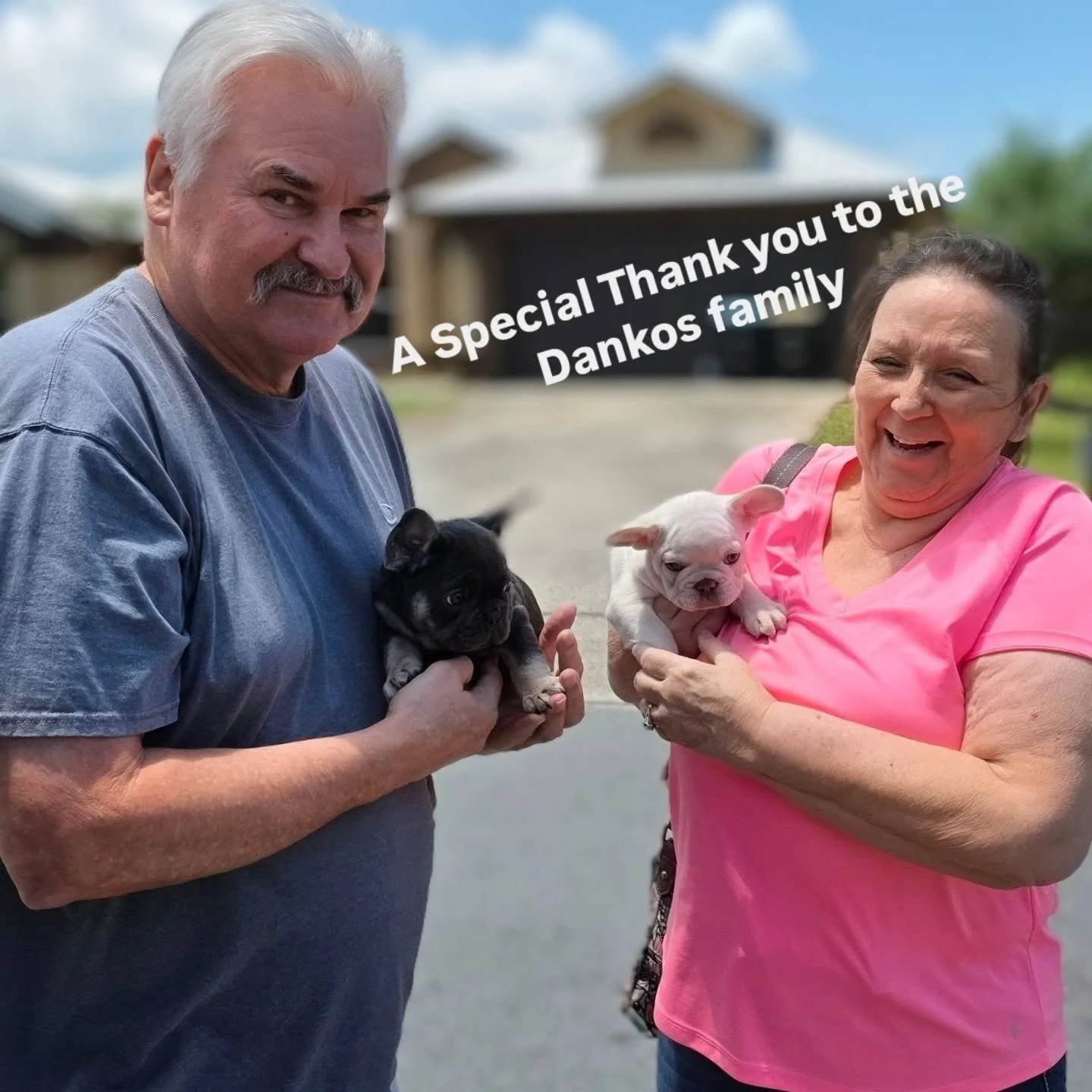 Double the puppy love 💙💙

Today was extra special as this wonderful family welcomed home not one&hellip; but TWO brothers from the same litter. Watching families fall in love with our babies is always emotional, but seeing siblings stay together ma