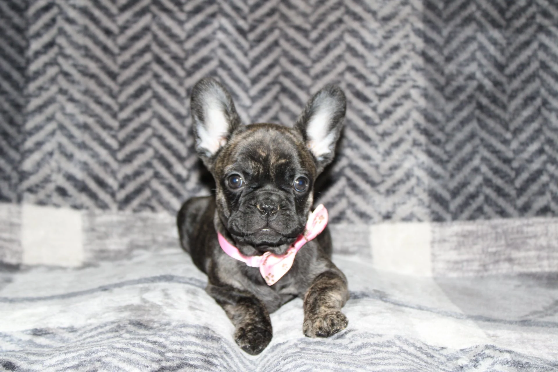 IMG_6794.JPG