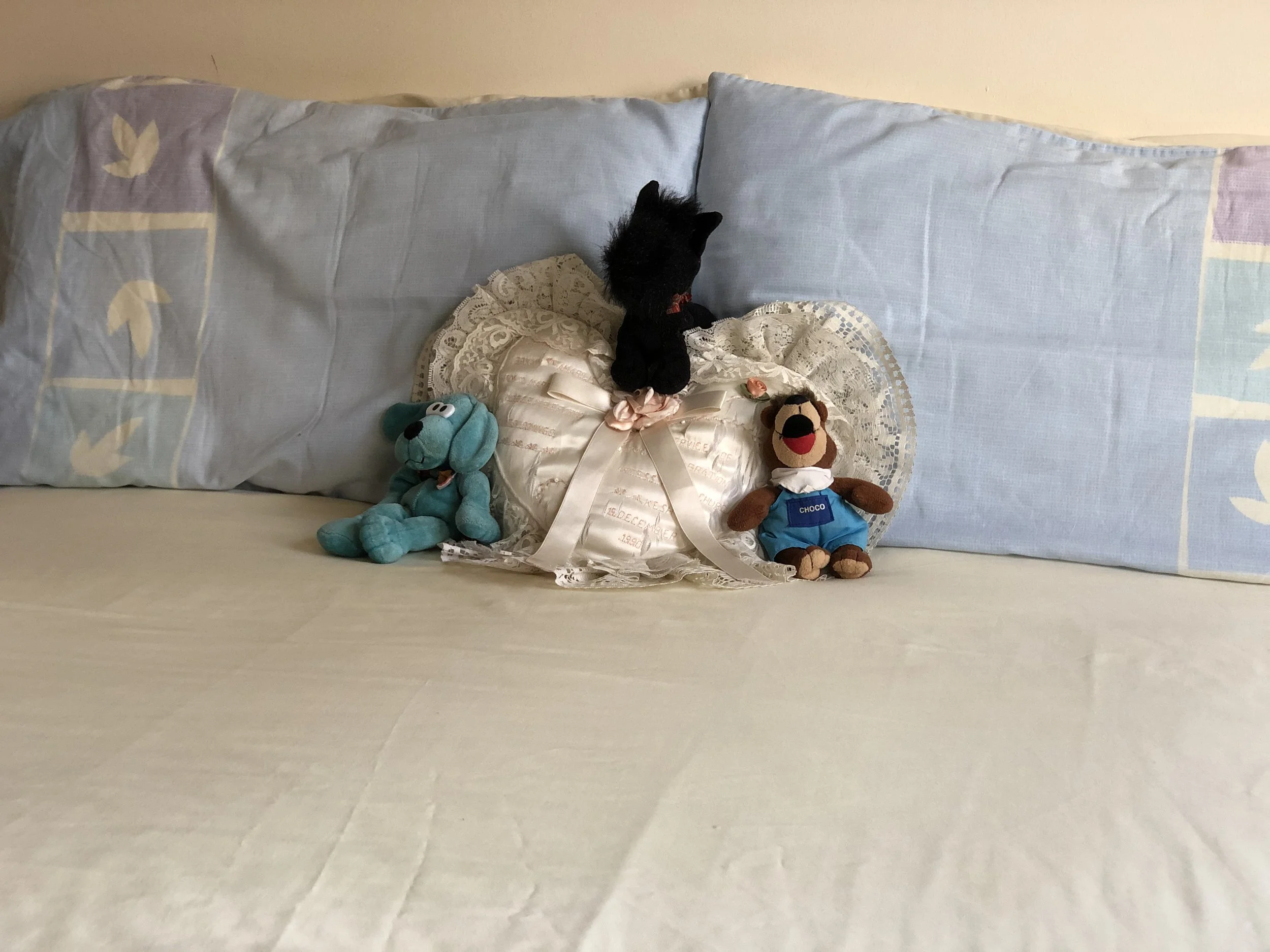 Our Last Night in Murray Wood (The Adventure Begins ...)