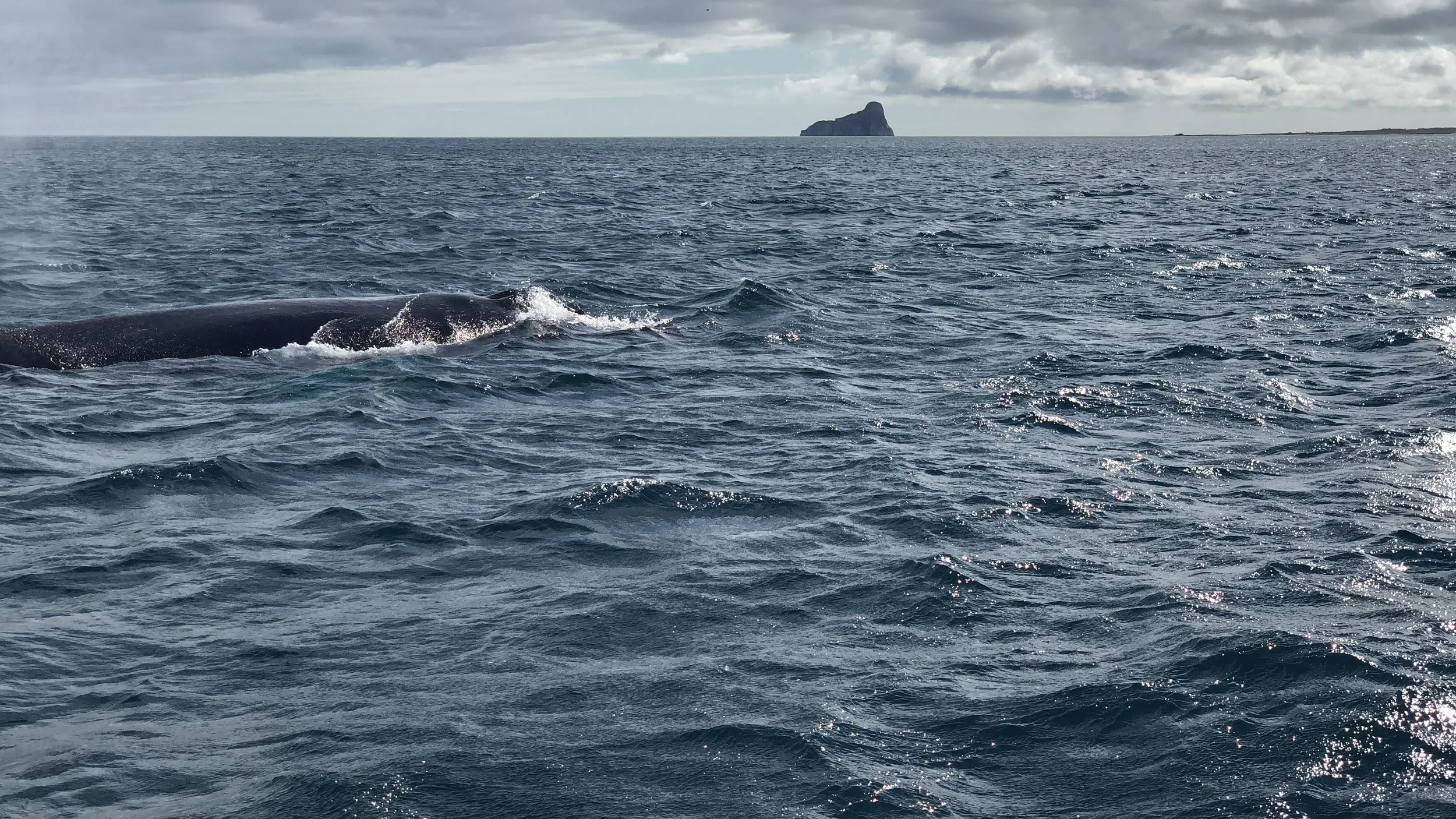 A Galapagos Islands Adventure