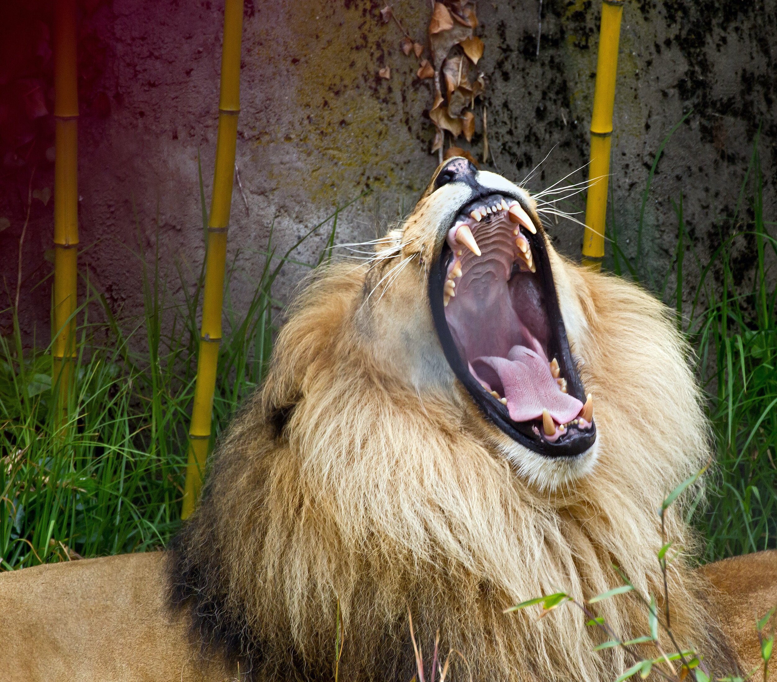 Meditation - And other words