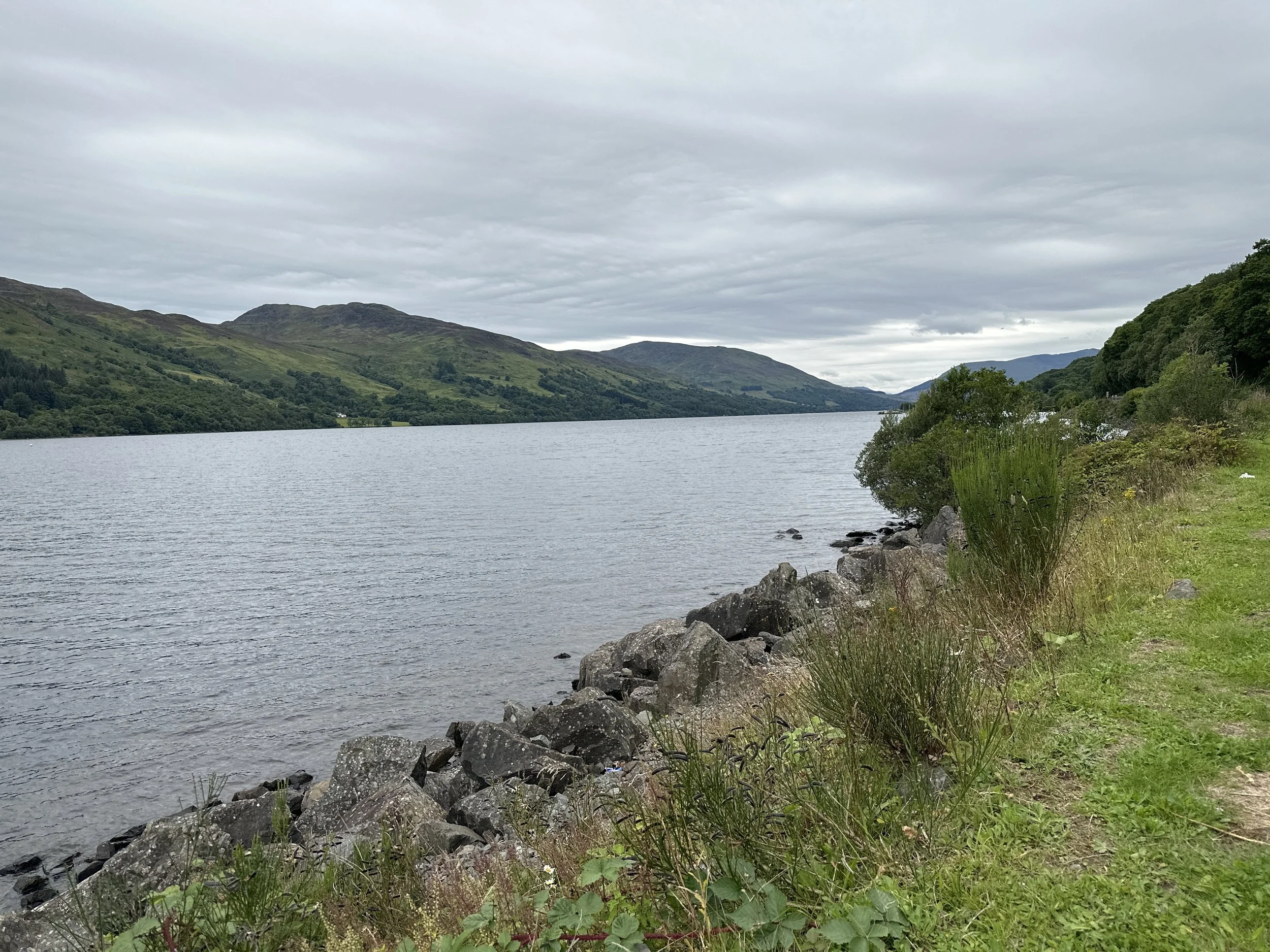 Stories and Searchers