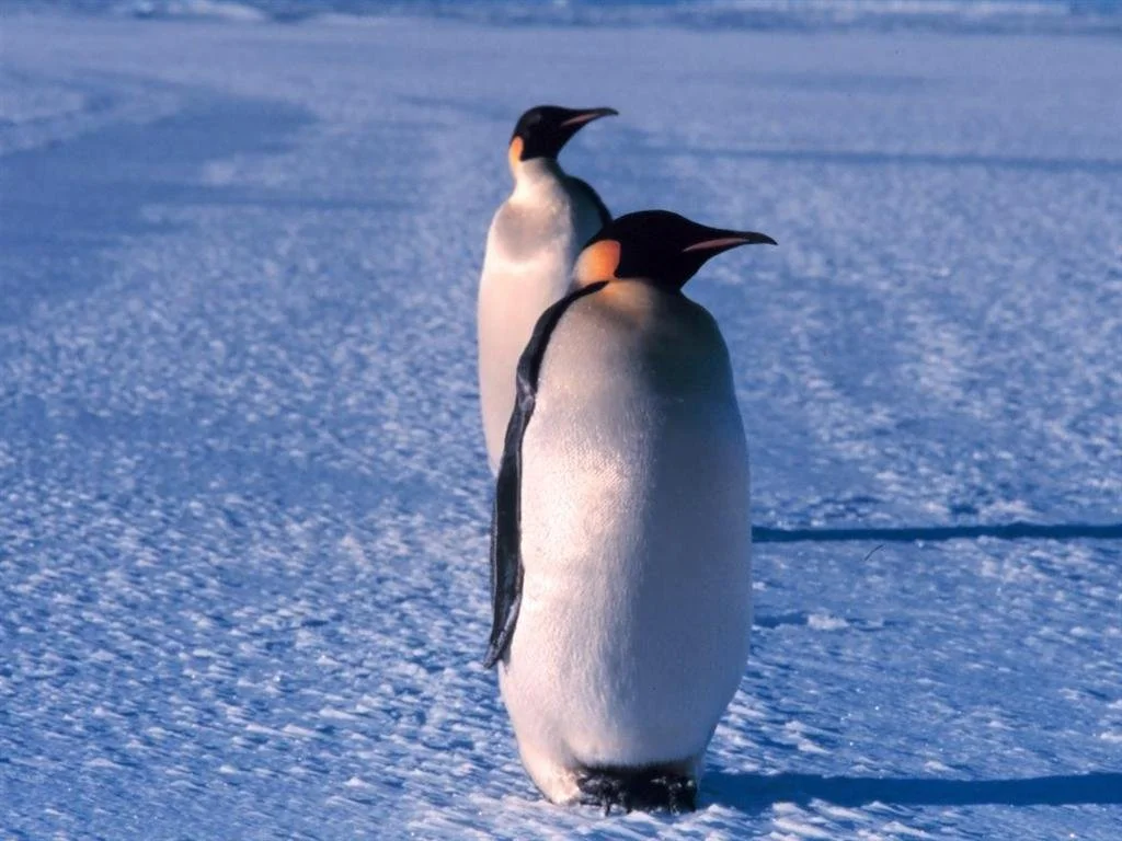 Day 10: Chilly in Canada