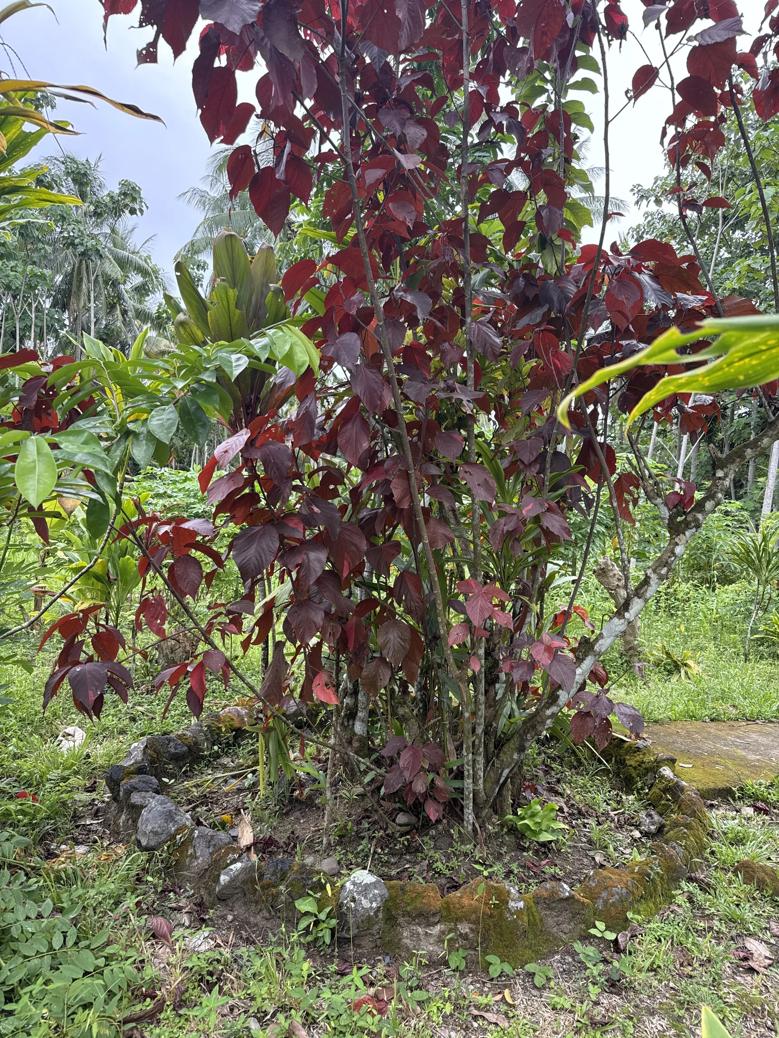 A Different Kind of Welcome