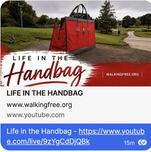 It's In The Bag! 🥳