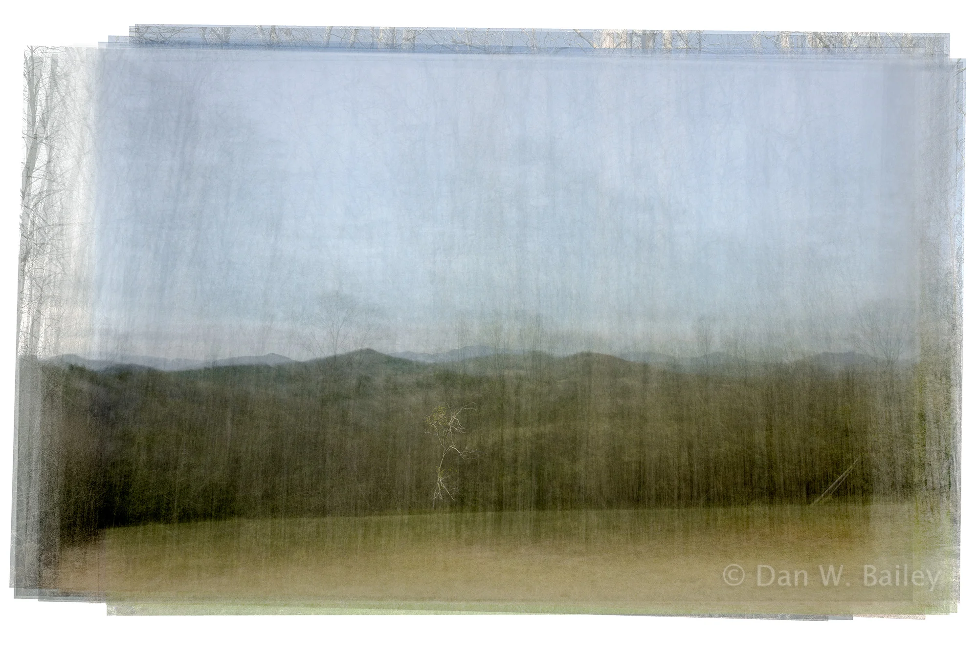Camera Station #H04, North Carolina, United States, 2018-2019