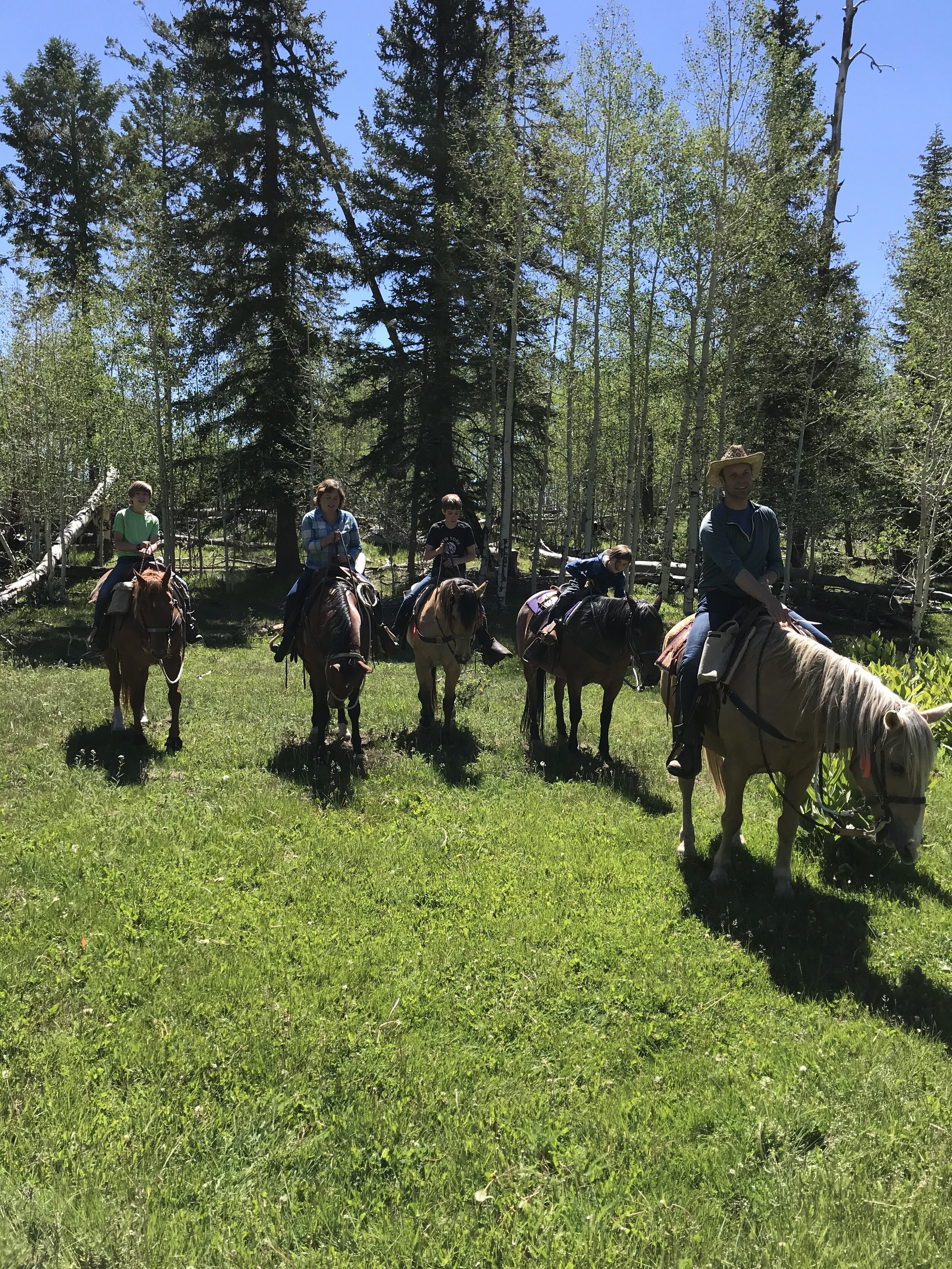 IMG_trailride.jpg