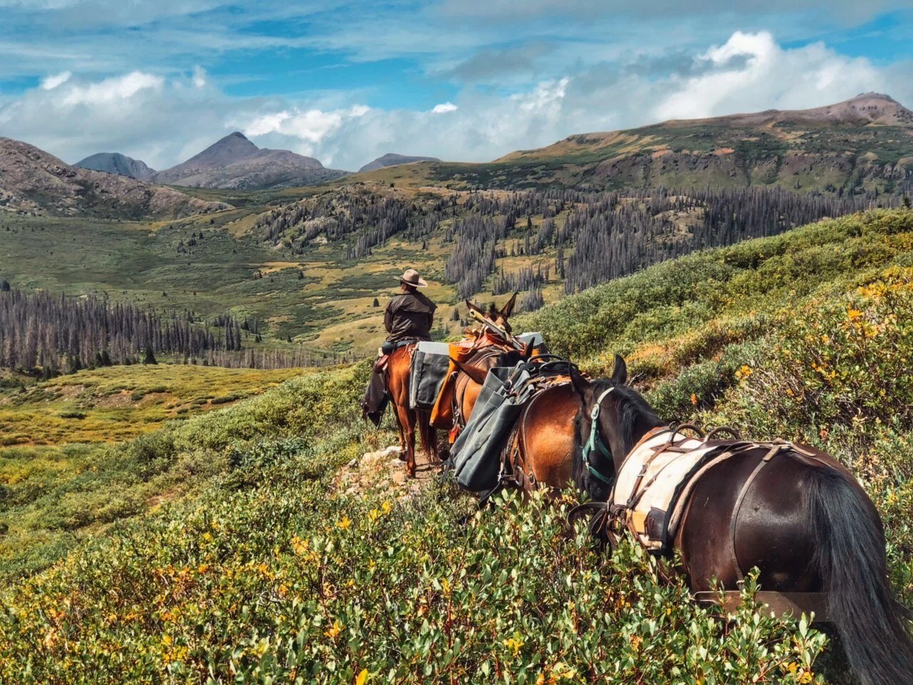 IMG_ute lake out.JPG