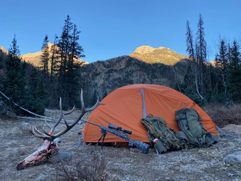 IMG_Bulich bull.jpeg