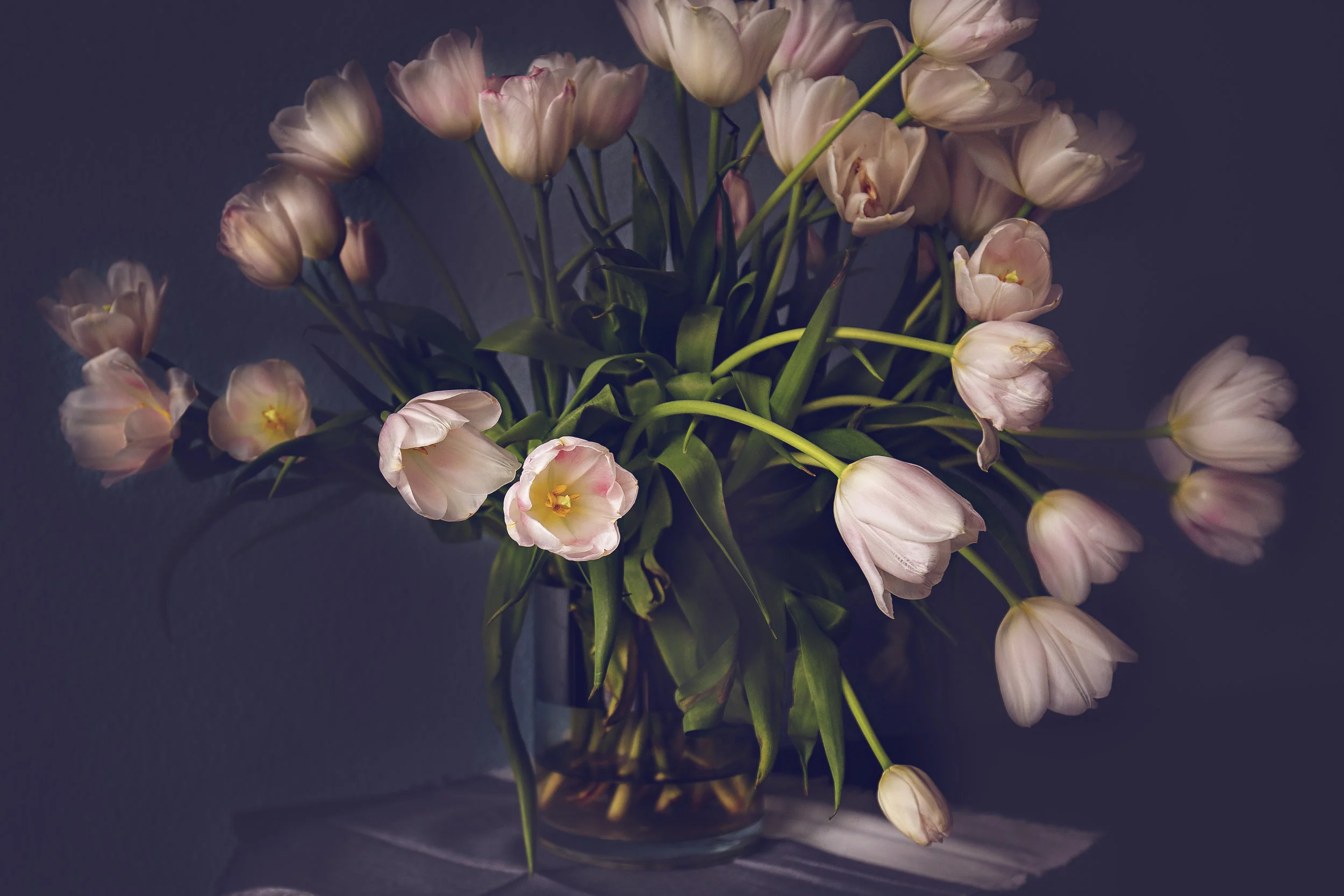 Tulip Bunches