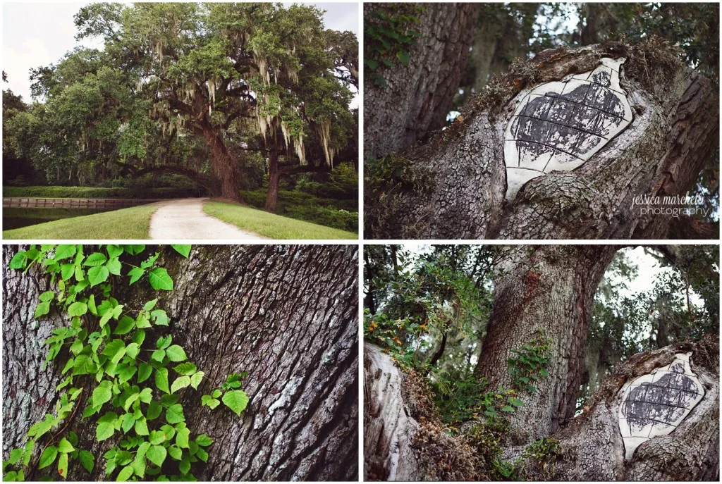 Charleston South Carolina Images_1