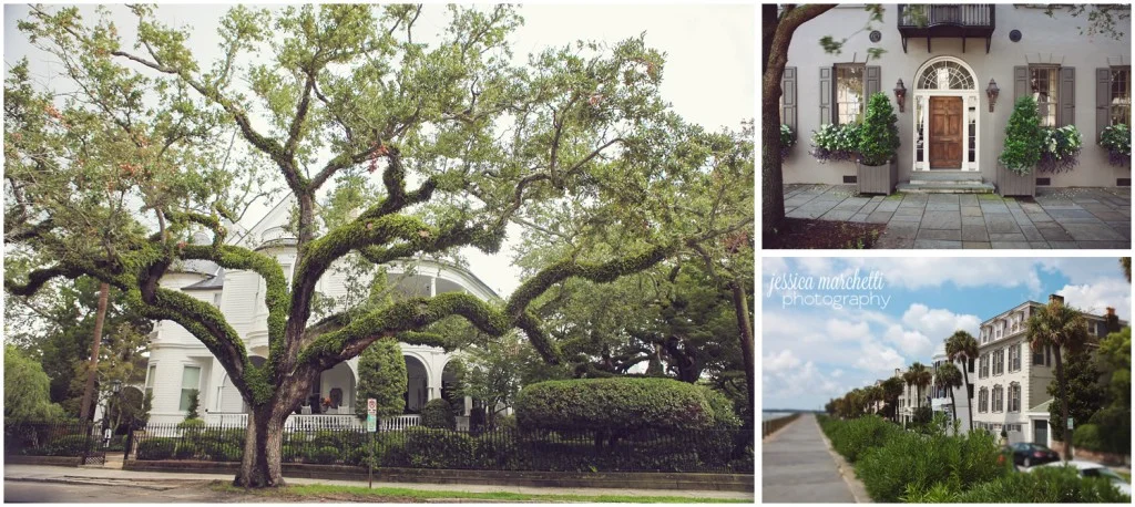 Charleston South Carolina Images_12