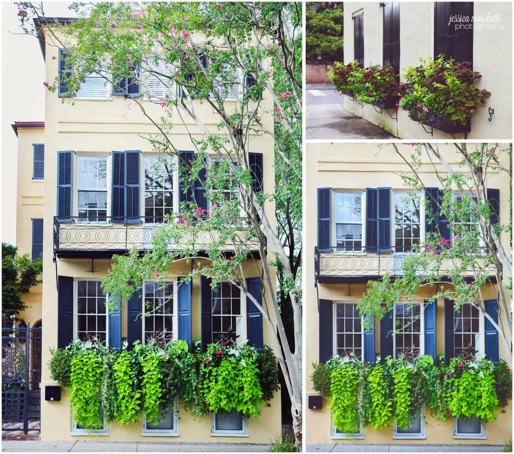 Charleston South Carolina Images_16