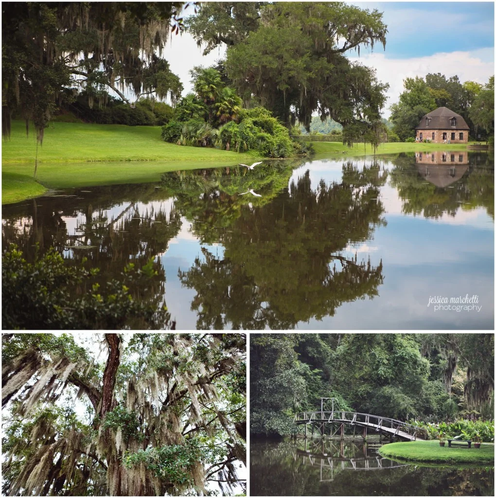 Charleston South Carolina Images_4