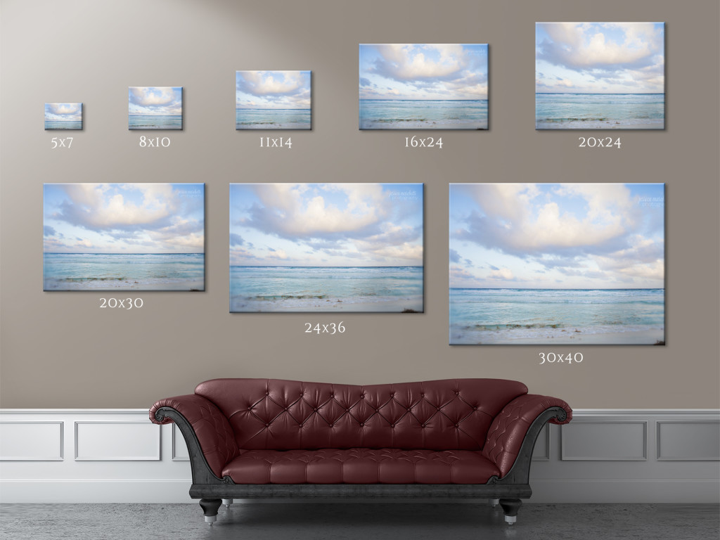 Ashe_Photography_Size_Guide