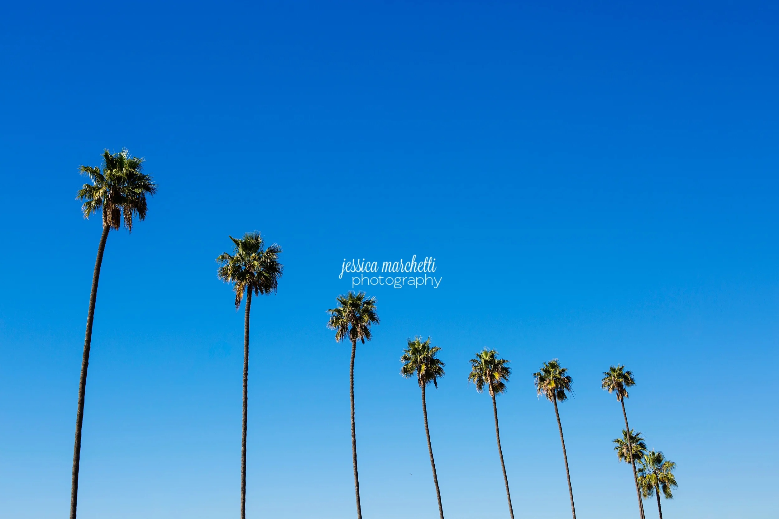 San Diego Travel Photography Wall Art-2.jpg