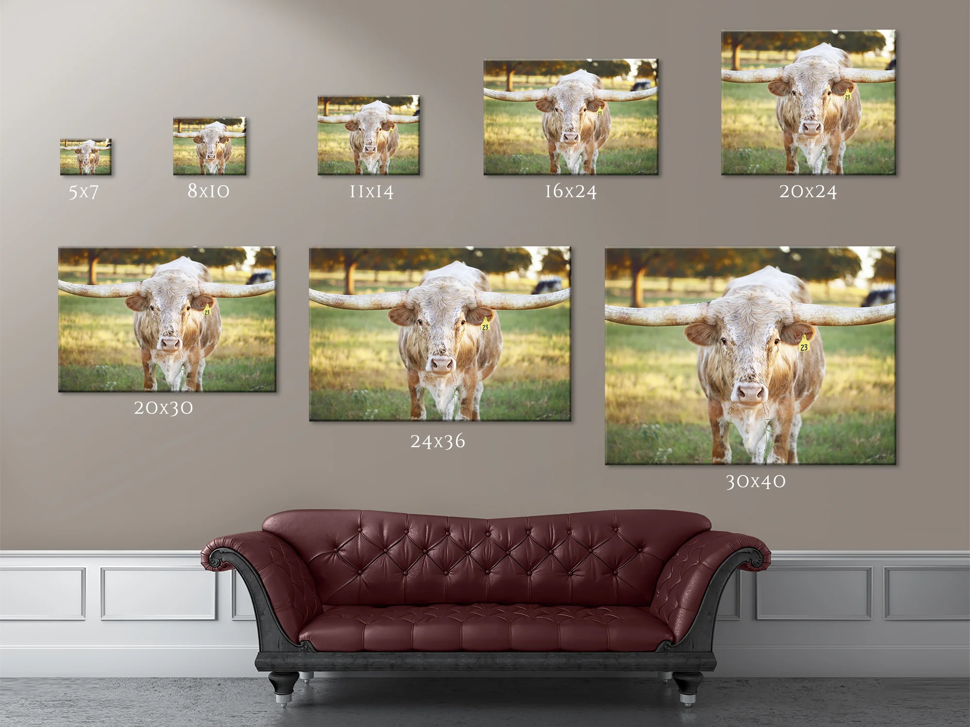 Wall Display Guide.jpg