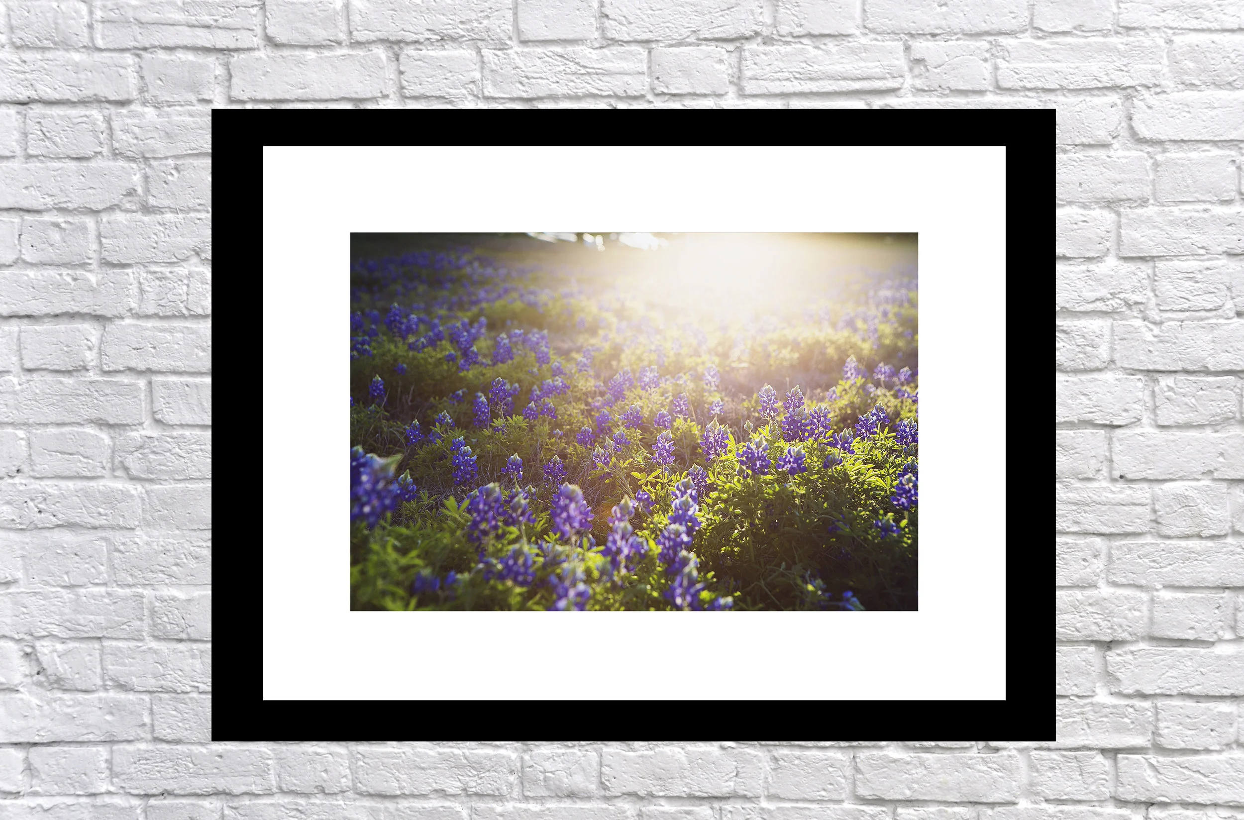white brick wall single frame.jpg