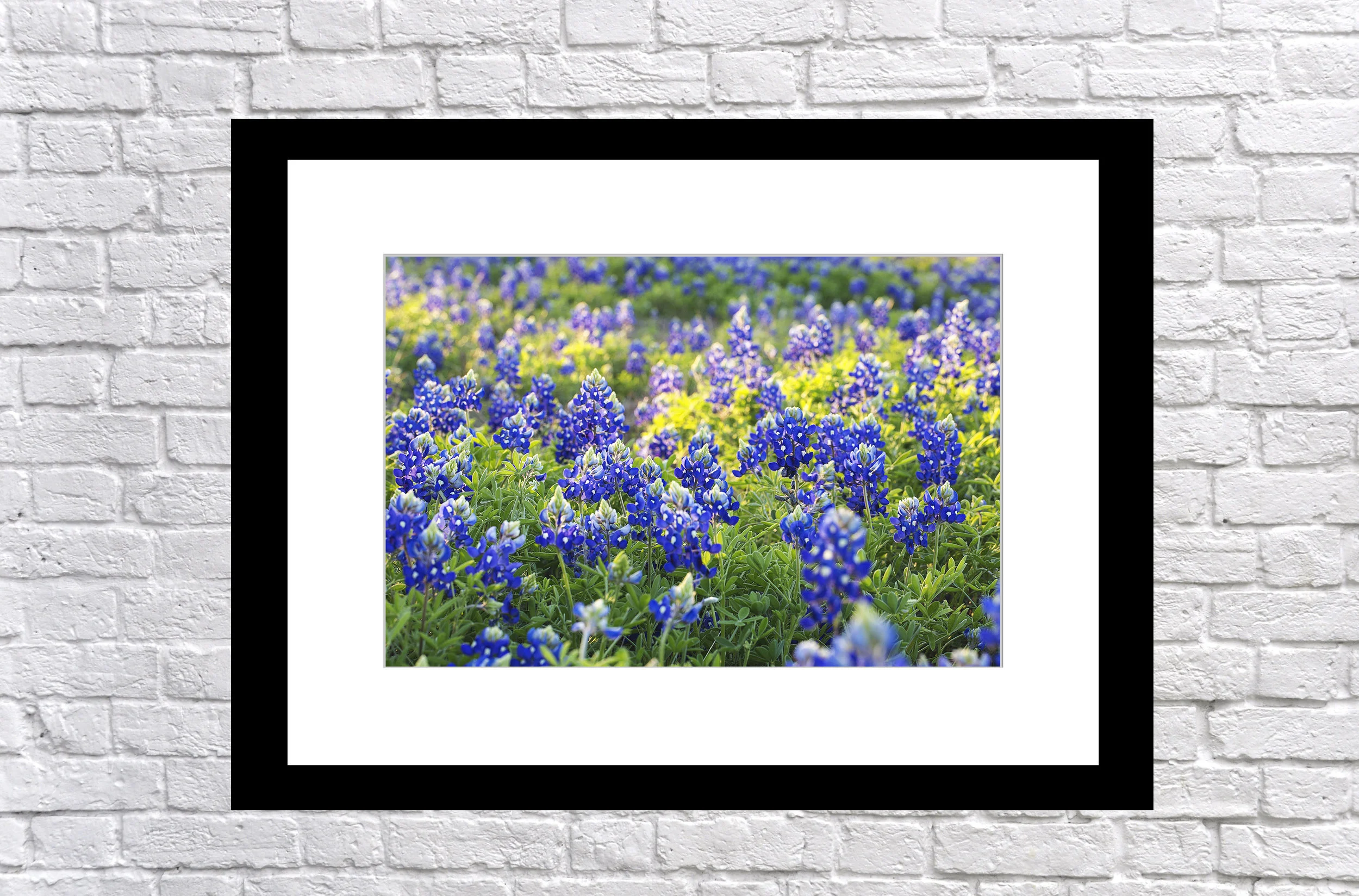 white brick wall single frame8.jpg