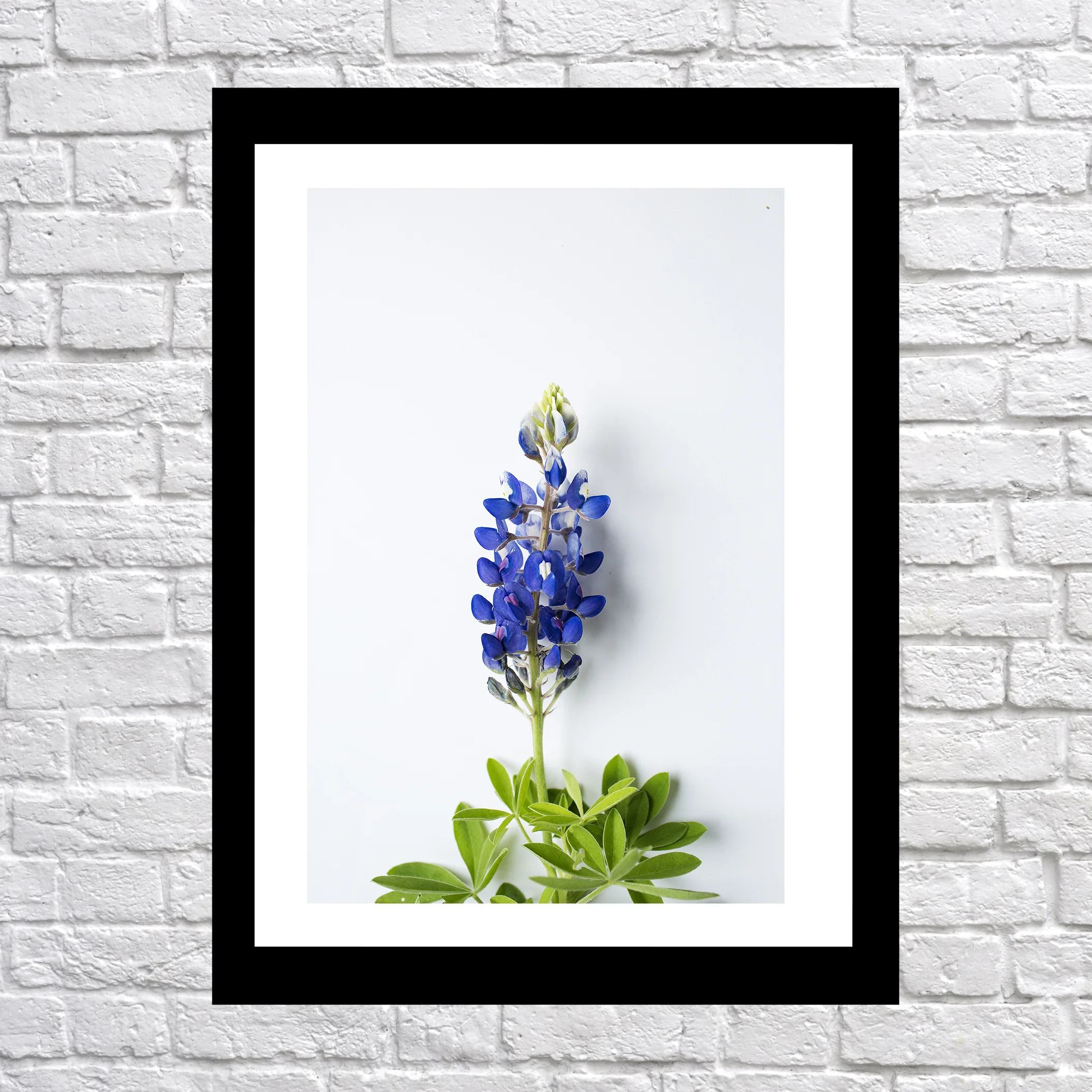 white brick wall single frame20.jpg