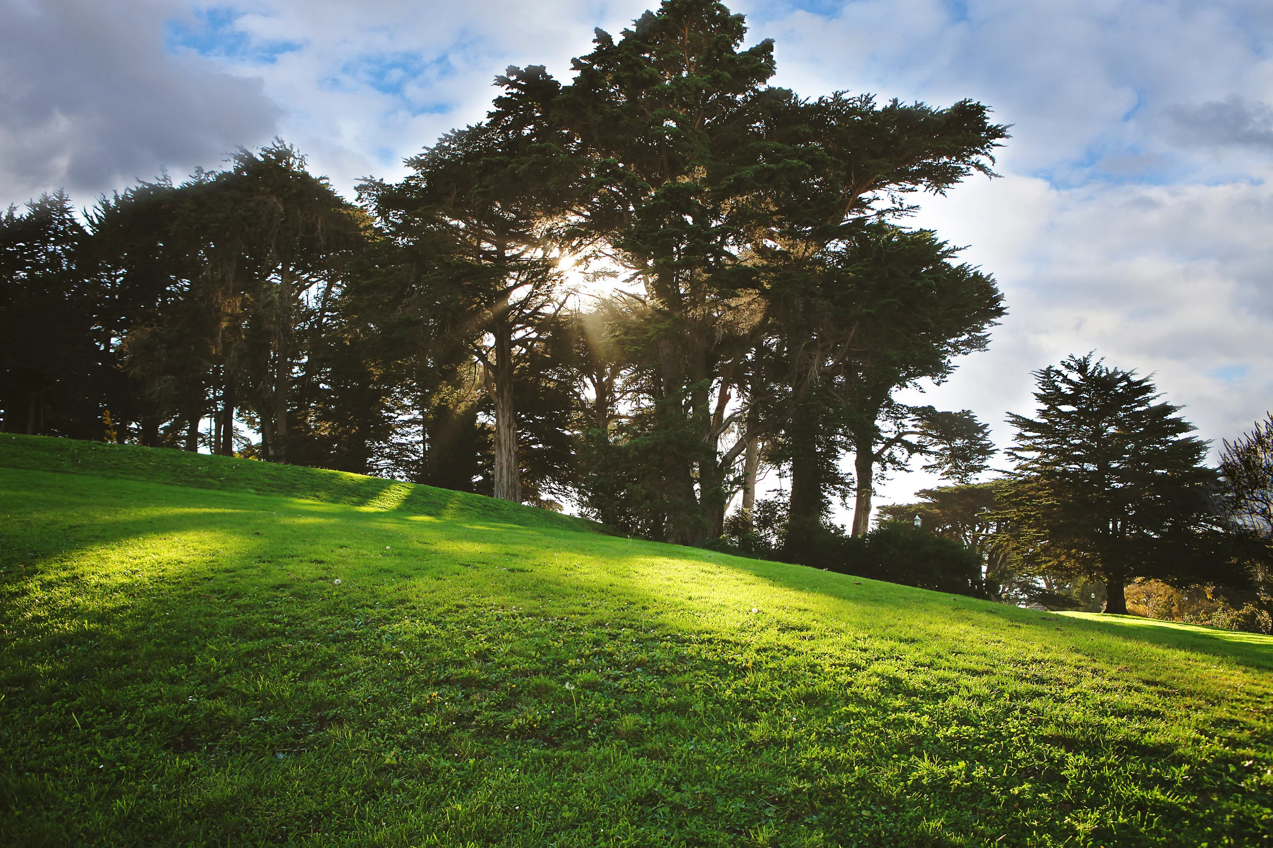 San Fran Hilltop alt.jpg
