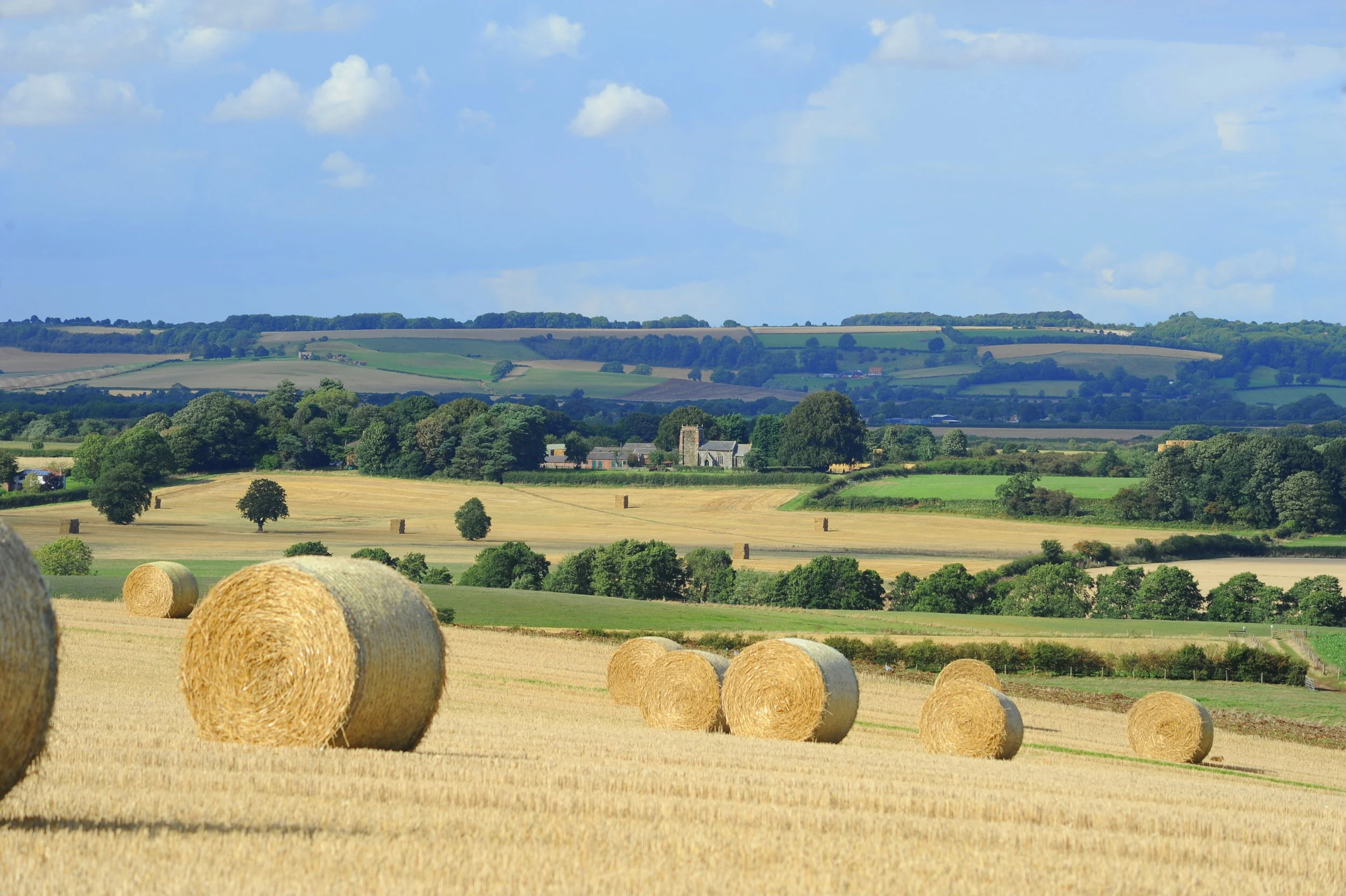 Wolds Landscape