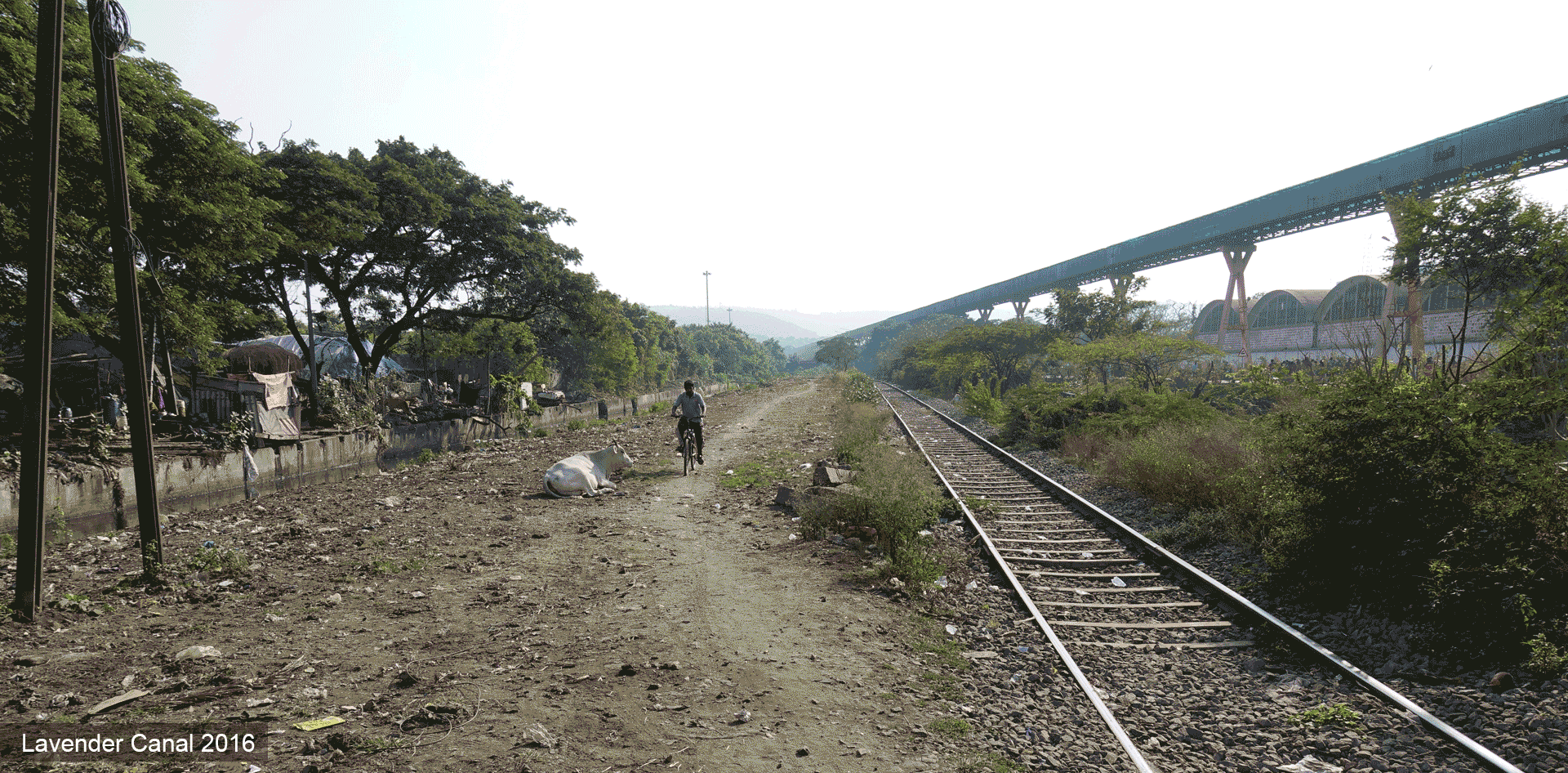 VineetDiwadkar-Vizag-Lavender-Canal.gif