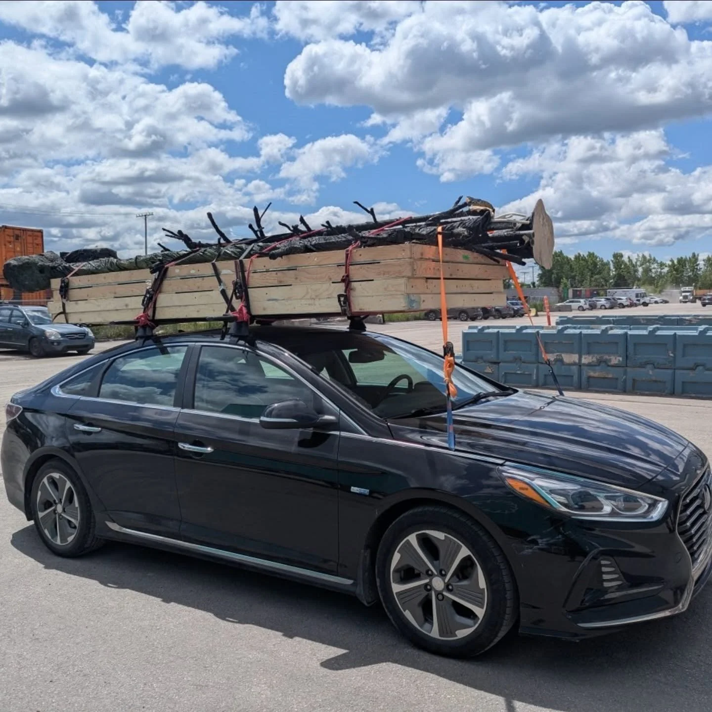 Who needs a truck when you got rope? If you want to see what we've got stacked on our car in action come out to #lesbianwildernessretreatfromhell at @cabaretliondor !! Big thanks to @ecosceno for being so chill and letting us cut down the trees in th