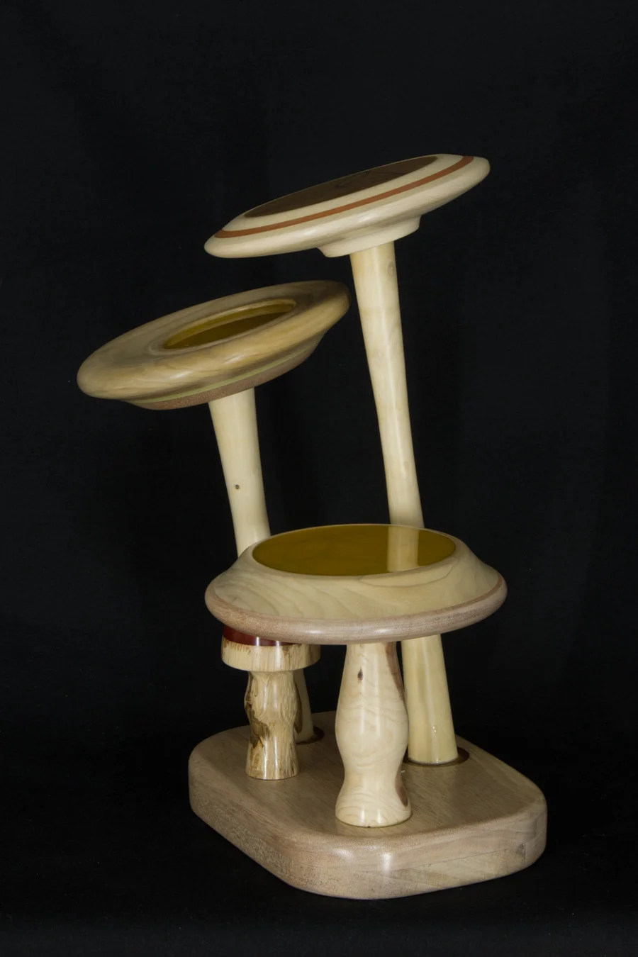 Sacred-mushrooms-2.jpg