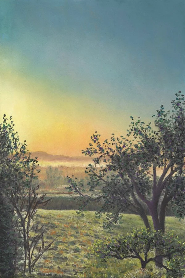 SONOMA MORNING DEW