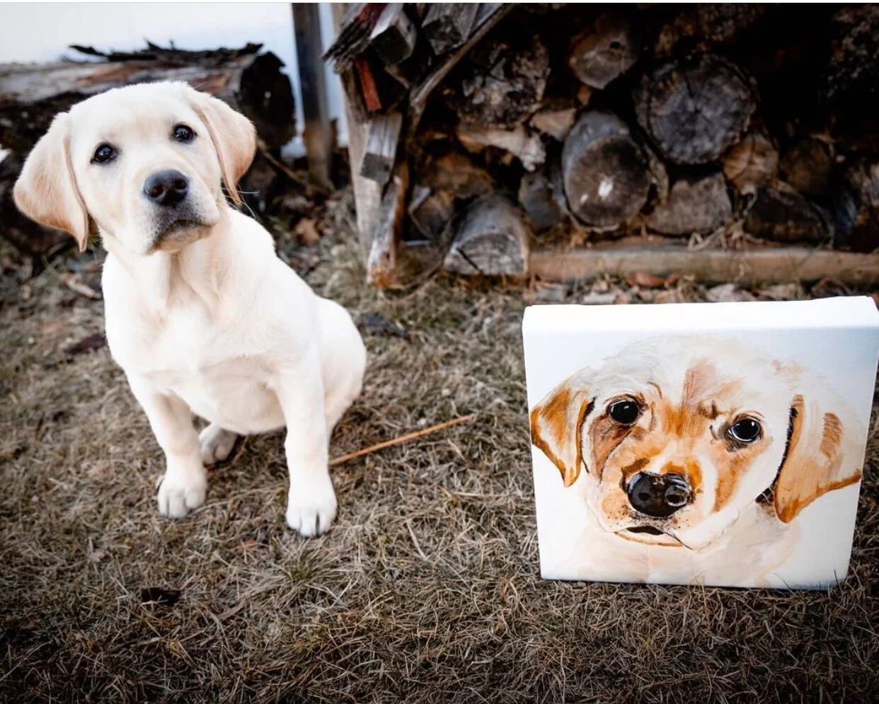  Belle with her portrait, 10” x 10”. 