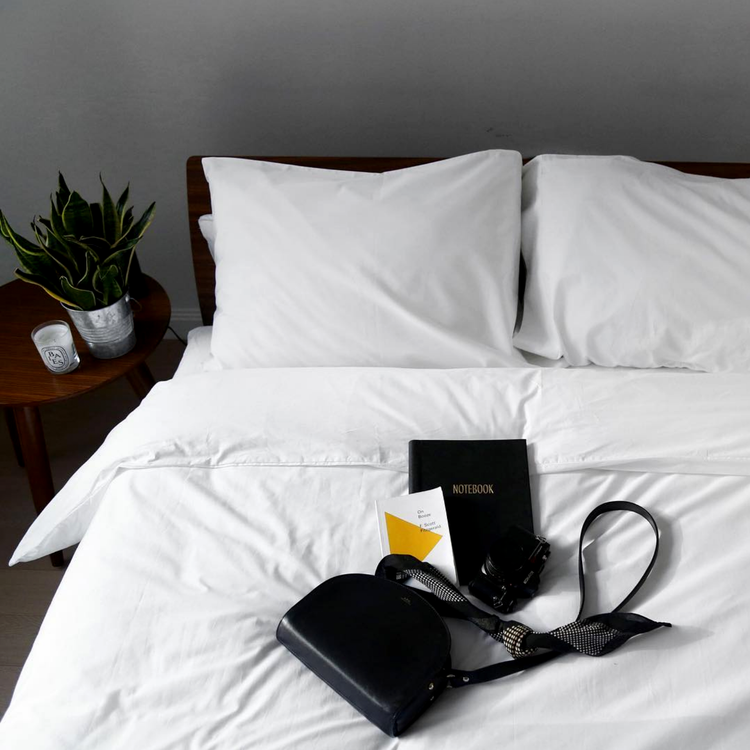 VENUSTONG_GOODANDBED1.png