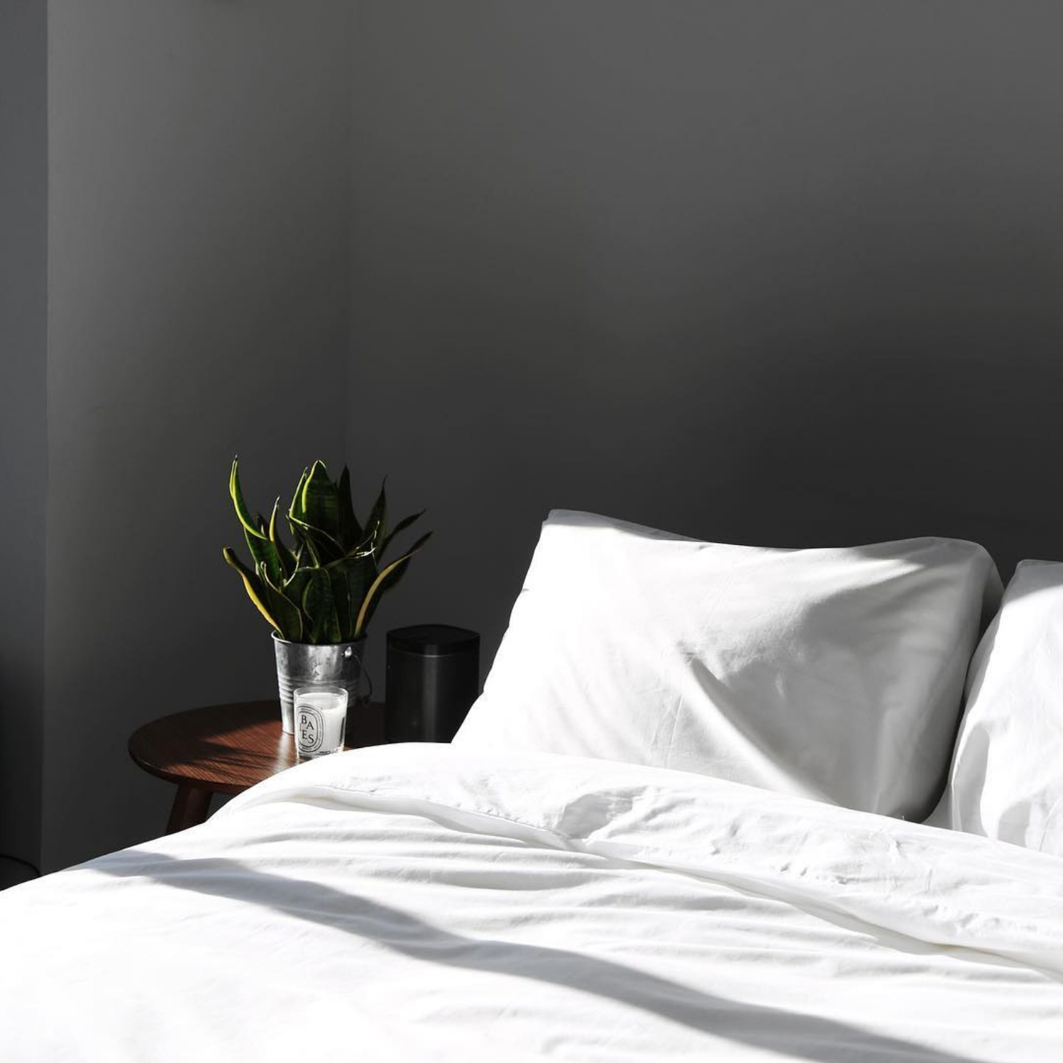 VENUSTONG_GOODANDBED7.png