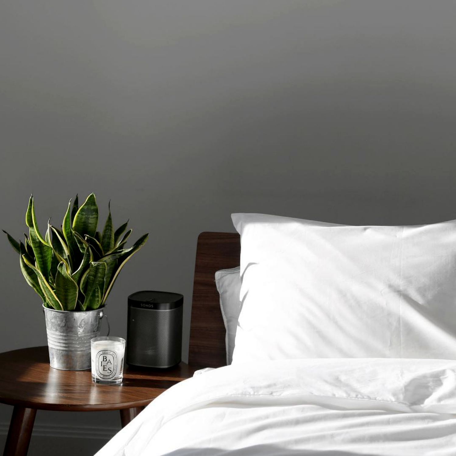 VENUSTONG_GOODANDBED11.png