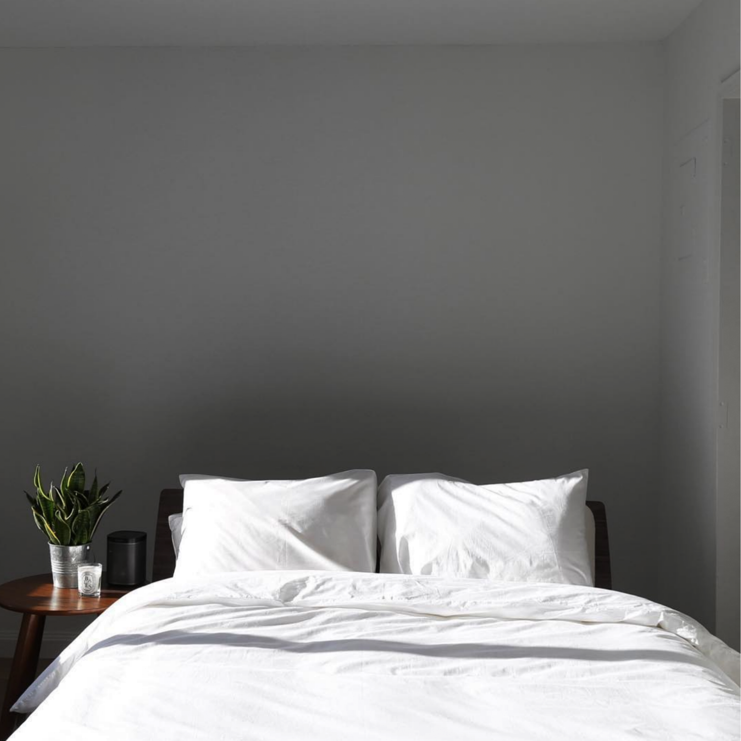 VENUSTONG_GOODANDBED16.png