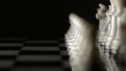 Politics Is Like A Game Of Chess.