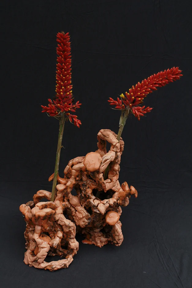  Earth to Earth 5 2017 Martin Clay, Glaze 250x380x200mm   