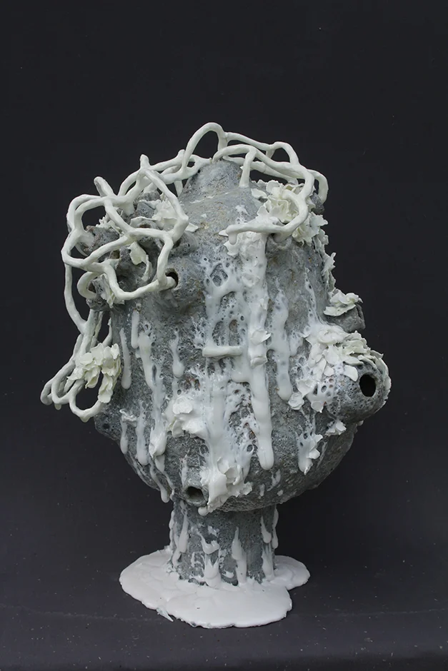  Epibiont 2016 Stoneware, Porcelain(feldspar and lava glazes)   