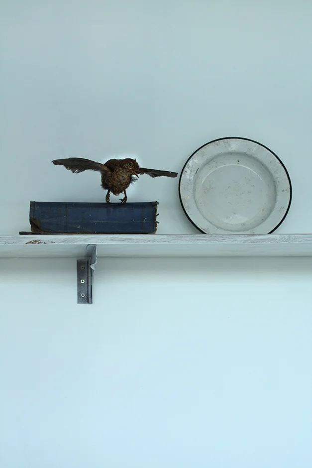  Cell, Te Uru 2014   
