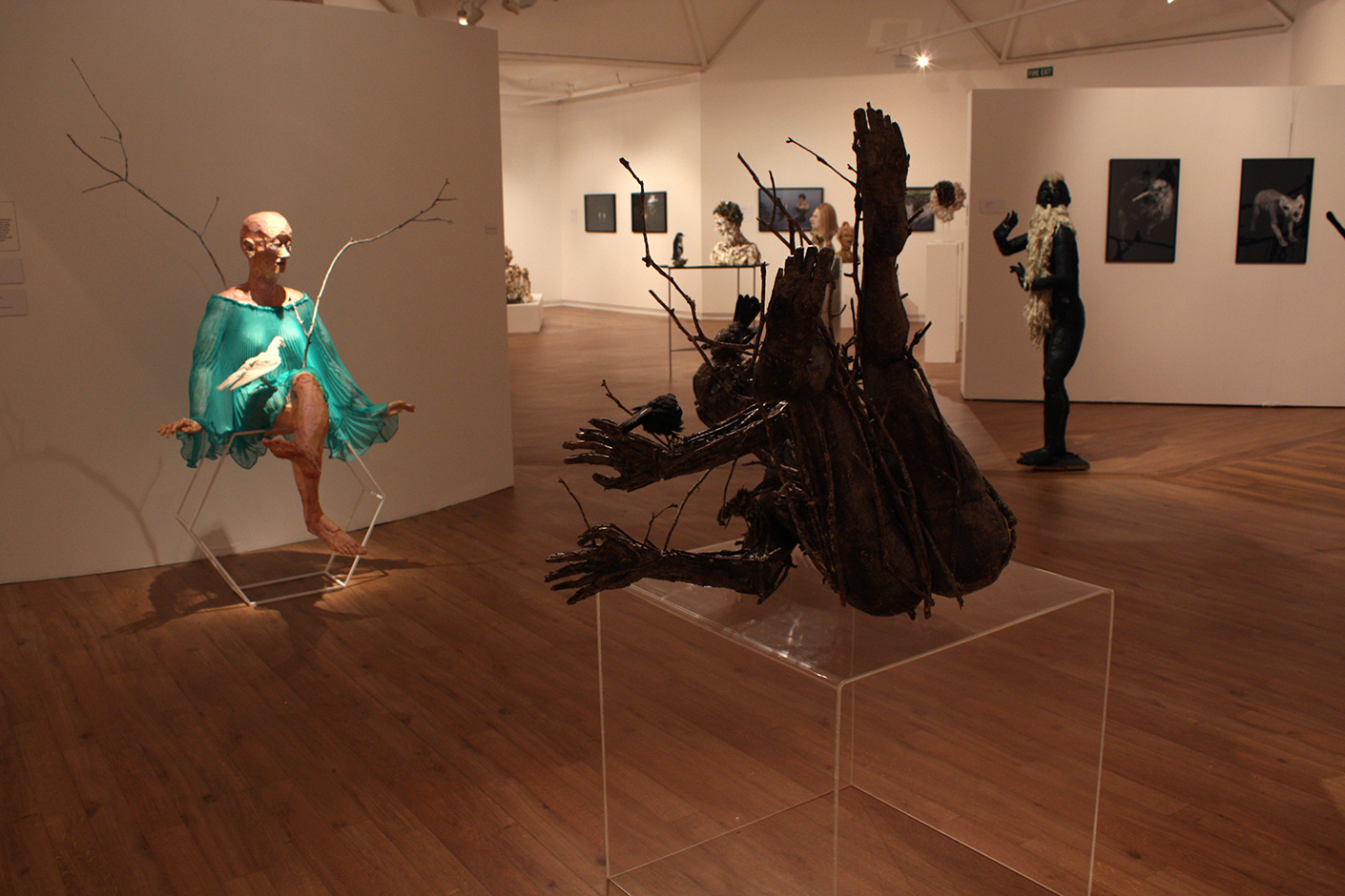  Chain of Being, Hastings City Gallery 2011   
