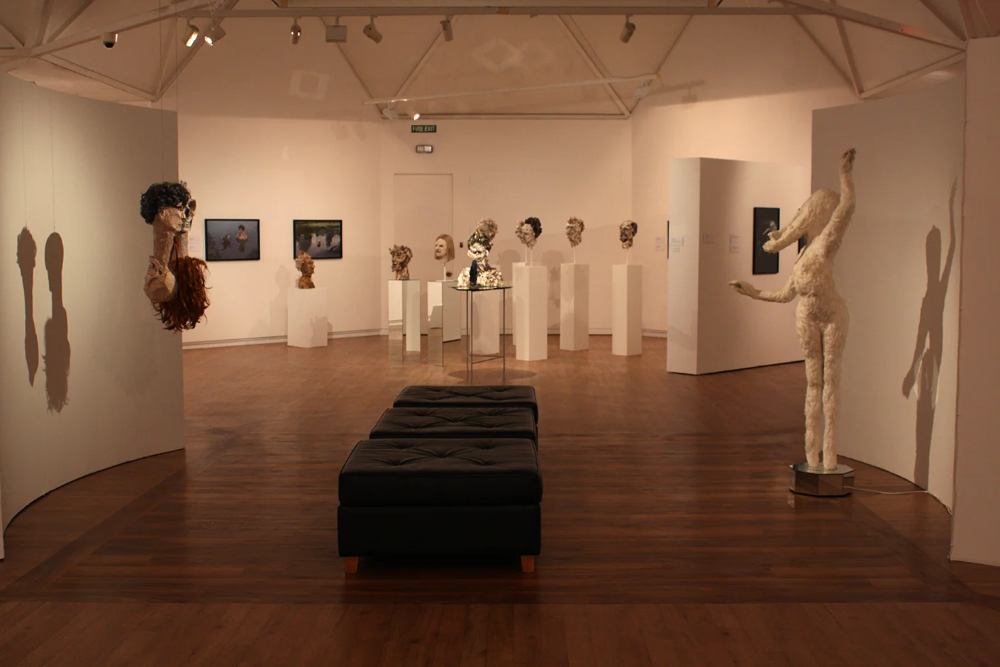  Chain of Being, Hastings City Gallery 2011   
