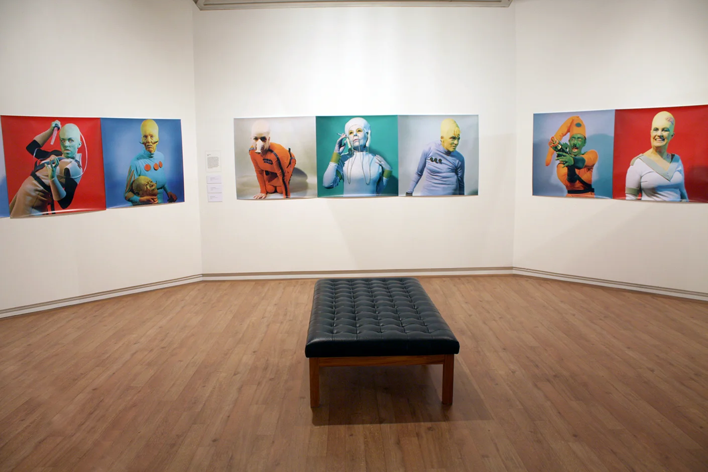  Kirks Girls 2000, Chain of Being, Hastings City Gallery 2011   