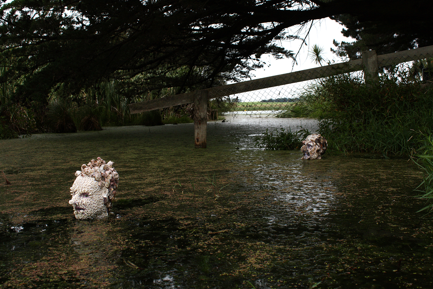  Denizens of the Deep -Lake WiritoaLake Wiritoa 2011 Digital Print   
