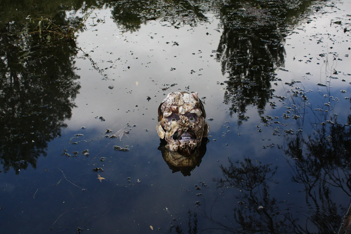  Denizens of the Deep -Bason Botanic Gardens 2012 Digital Print   