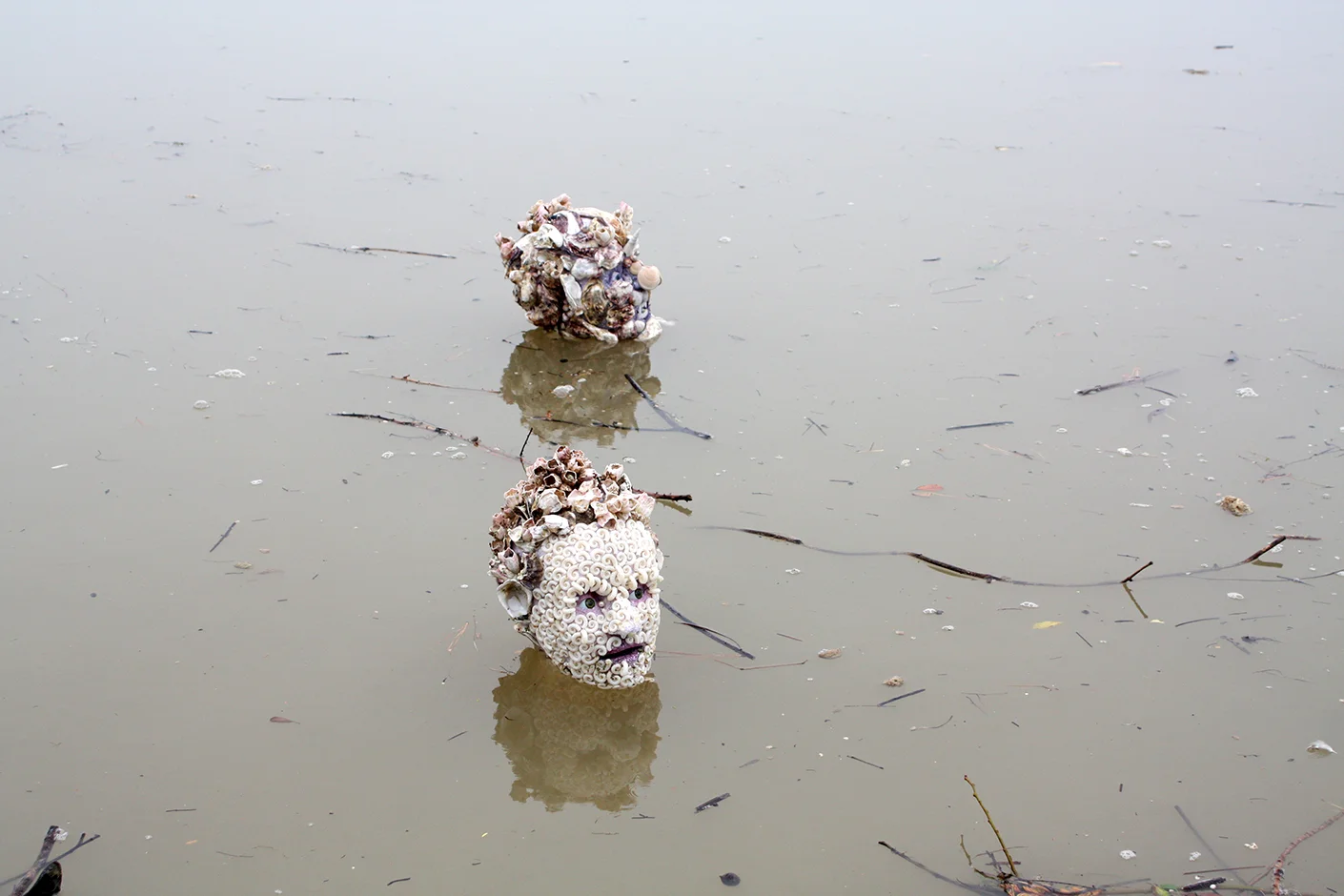  Denizens of the Deep -Whanganui River 2012 Digital Print   