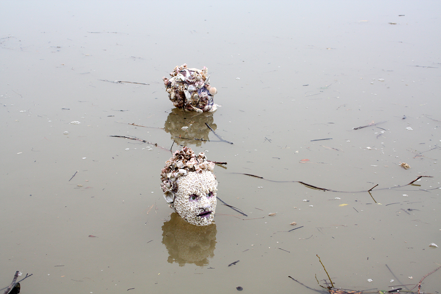 Denizens of the Deep -Whanganui River 2012 Digital Print